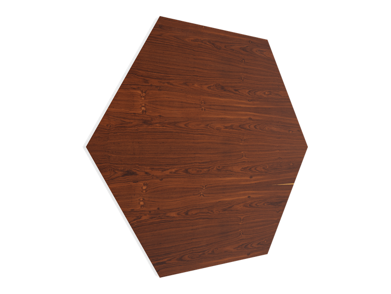 Vicoustic | Vixagon VMT