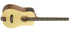 Traveler Guitar AG-105