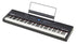 Alesis RECITAL PRO