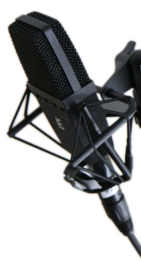 SE Electronics 4400a Matched Pair