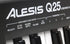 Alesis Q25