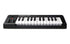 Alesis Q25