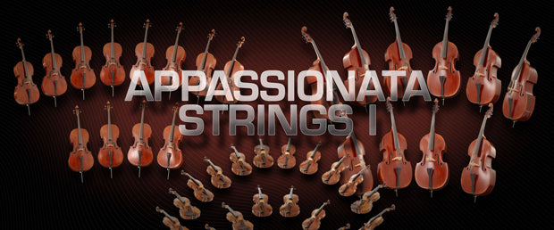 VSL Appassionata Strings I