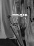 Prodipe BL21 Lanen Contrabass