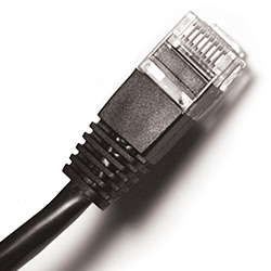 Hear Technologies Cables - CAT5e 50'