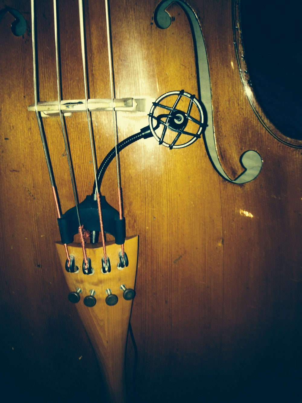 Prodipe CL21 Lanen Cello