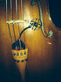 Prodipe CL21 Lanen Cello