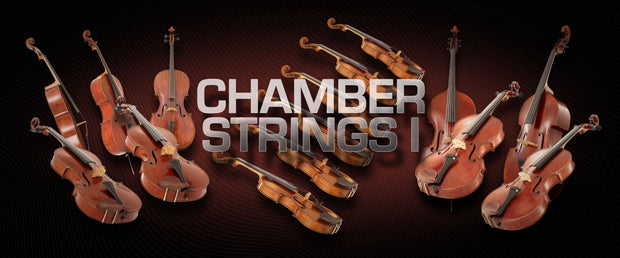 VSL Chamber Strings I