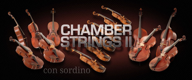 VSL Chamber Strings II