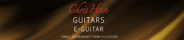 Best service Chris Hein Guitars - E-Guitar Clean