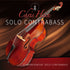 Best service Chris Hein Solo Strings Complete Upgrade 2