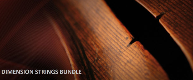 VSL Dimension Strings Bundle