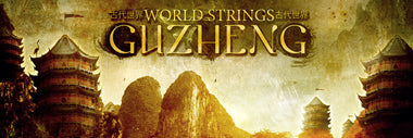 Evolution Series World Strings Guzheng