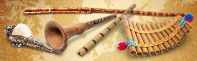 Best service Ethno World 6 Instruments Upgrade