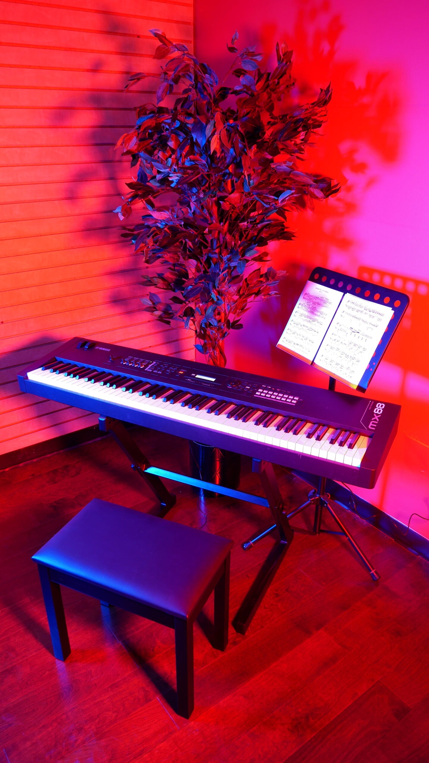 Gator Frameworks | Deluxe Wooden Piano Bench in Black