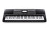 Alesis HARMONY 61