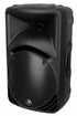 Mackie C300z 600W 12 inch Passive Speaker