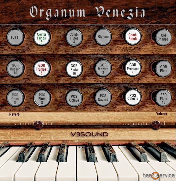 Best service Organum Venezia