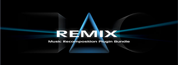 Zynaptiq Remix Bundle