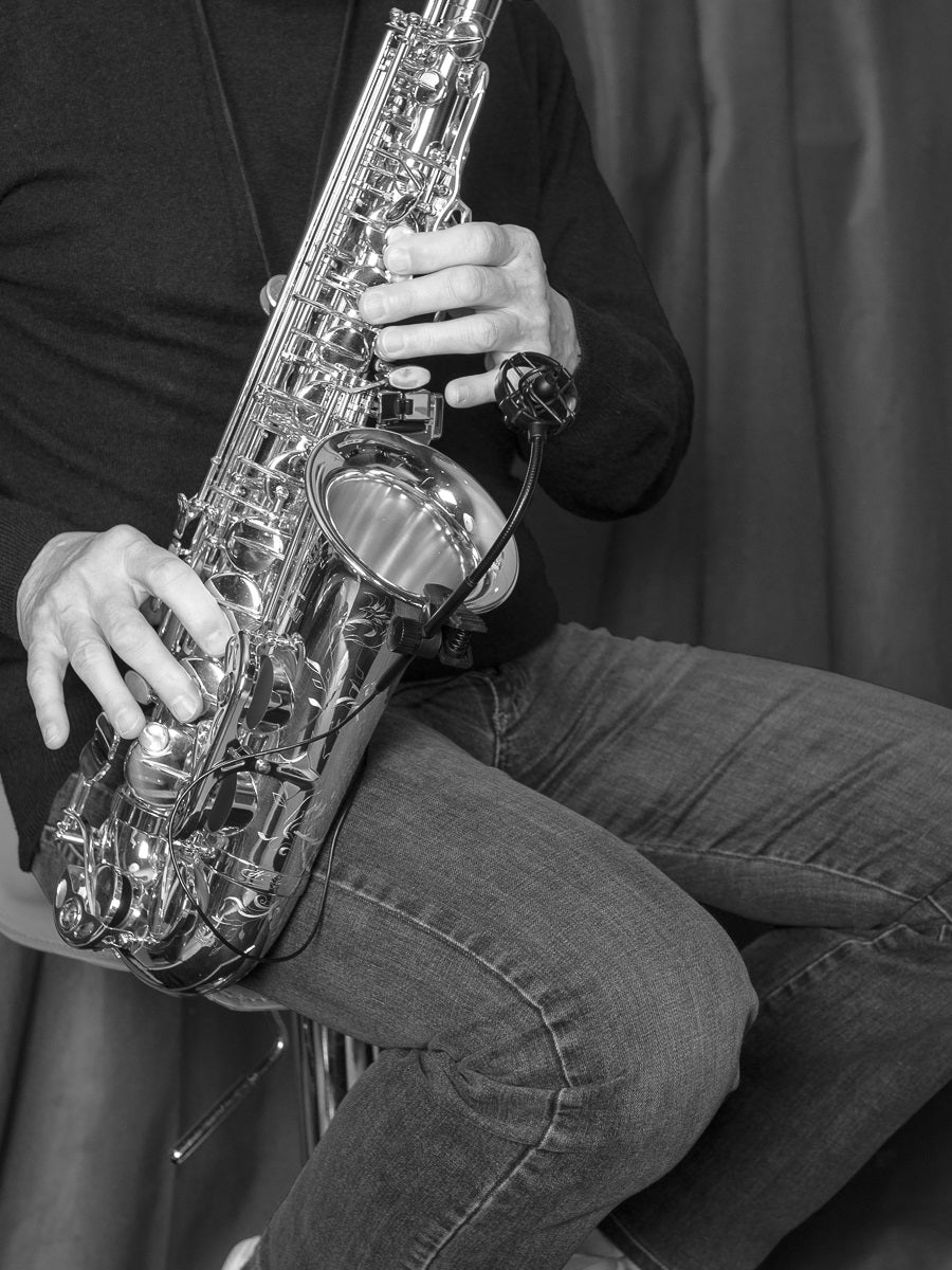 Prodipe SB21 Lanen Sax & Brass