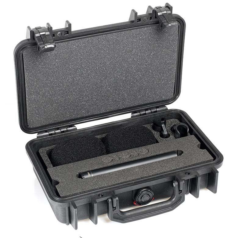 DPA d:dicate™ 2006A Stereo Pair with Clips and Windscreens in Peli Case