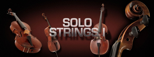 VSL Solo Strings I