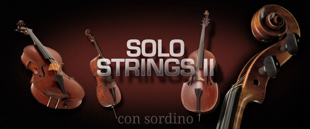 VSL Solo Strings II