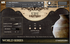 cinesamples African Marimba & Udu