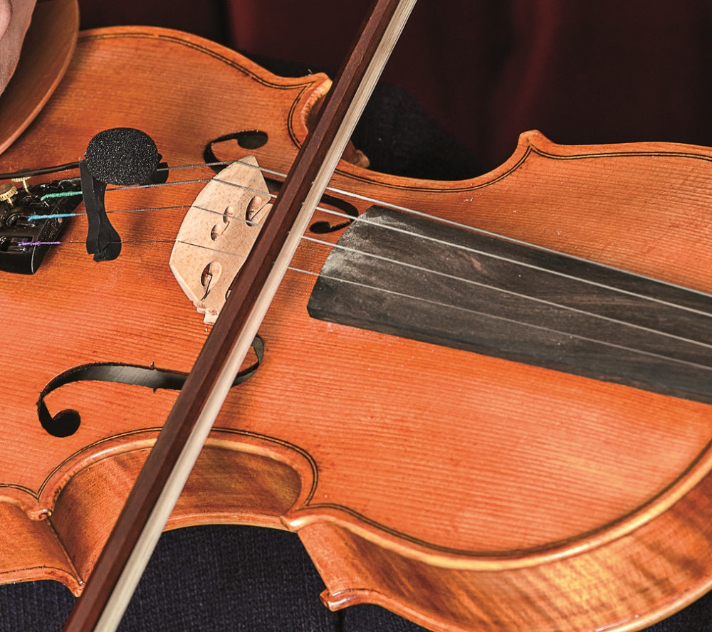Prodipe VL21 Lanen Violin & Alto