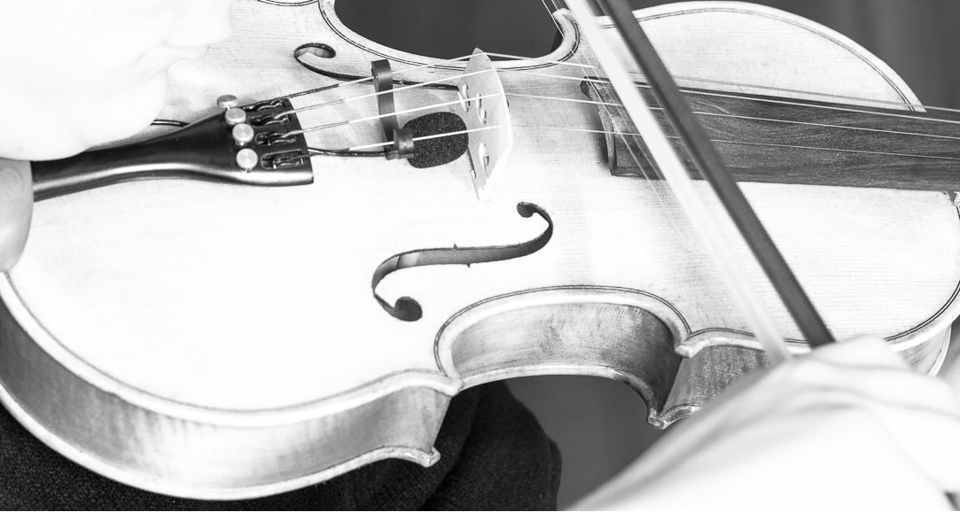 Prodipe VL21 Lanen Violin & Alto