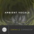 Output Ambient Vocals Expansion Pack for Exhale