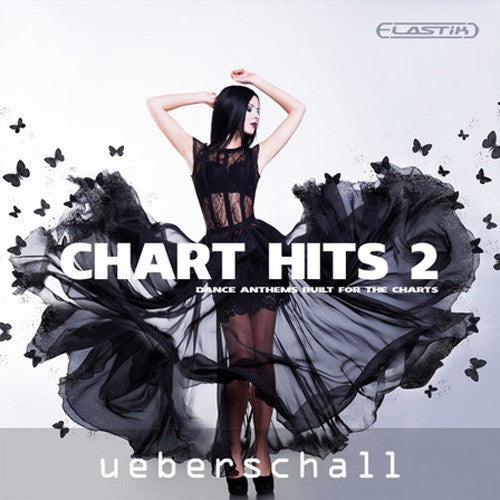 Ueberschall Chart Hits 2