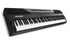 Alesis CODA PRO