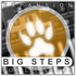 Xhun Audio | Big Steps Expansion for LittleOne Plug-in