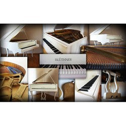 Best service Galaxy II German Baby Grand