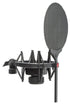 SE Electronics sE2200