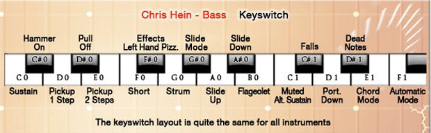 Best service Chris Hein Bass
