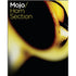 Vir2 MOJO: Horn Section