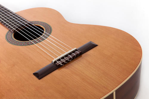 Prodipe Guitars CLASSICAL GUITAR RECITAL 200