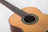 Prodipe Guitars CLASSICAL GUITAR RECITAL 300