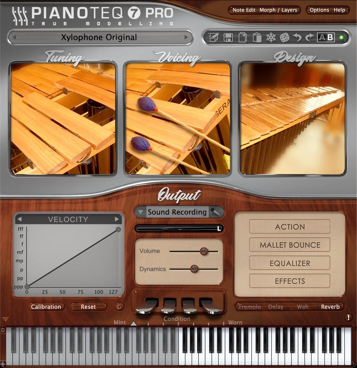 Modartt | Pianoteq Xylo: Bass Marimba + Xylophone
