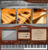 Modartt | Pianoteq Steelpans