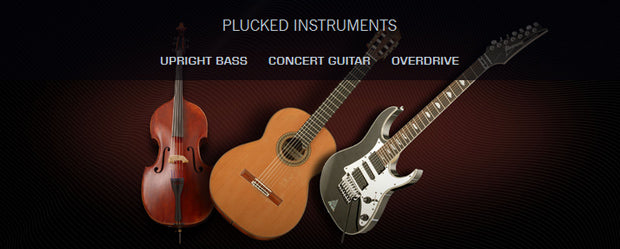 VSL Plucked Instruments Bundle