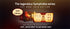 Project SAM Lumina