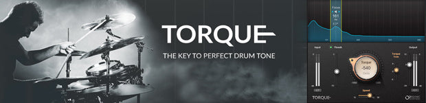 Waves | Torque Plug-in