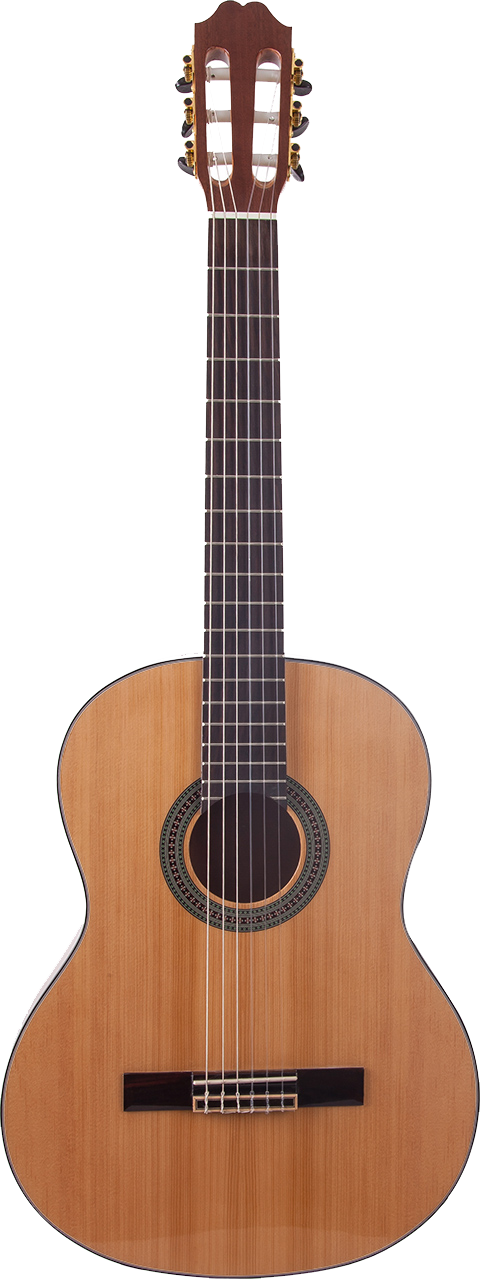 Prodipe Guitars CLASSICAL GUITAR ISPANA