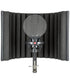 SE Electronics X1 S Studio Bundle
